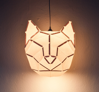 Medium_cat_light