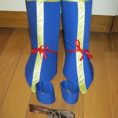Dragon Ball Z Costume Accessories