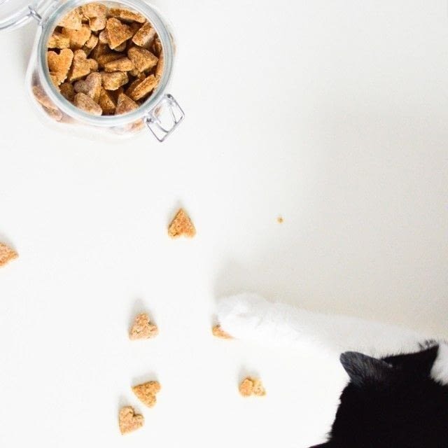 Homemade Chicken Pet Treats · How To Cook Pet Food · Decorating on Cut