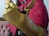 Small_full_claw_1202020960