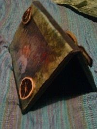 Step 6