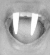 Step 6