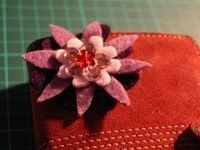 Step 6
