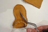 Step 10