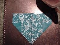 Step 7