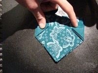 Step 10