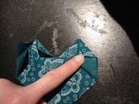 Step 11