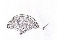 Step 6