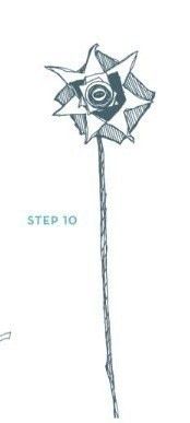 Step 10