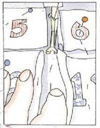 Step 14