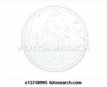 Wash With Clarifying Shampoo
