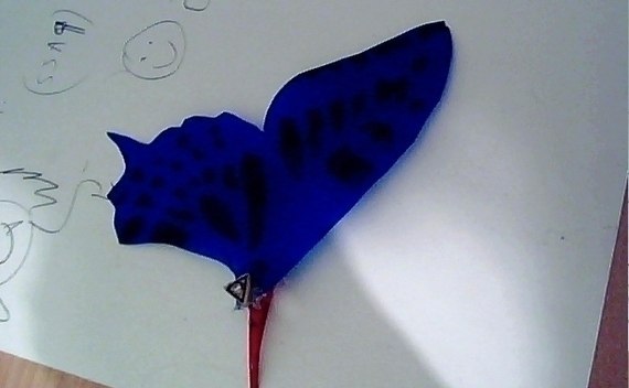 Butterfly Clips