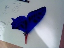 Butterfly Clips
