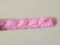 Step 6