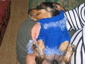 Puppy Coat