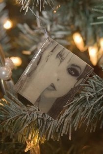 Photo To Ornament