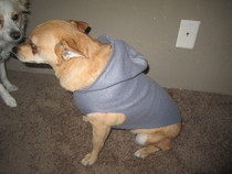 Dog Fleece Hoodie