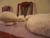 Salt Paste