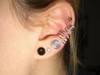 Small_full_cimg9264_1292840597