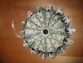 Create A Snow Blossom!