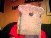 Ipod Sandwhich Cover