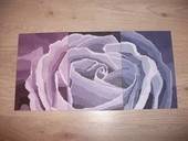 Three Tone Rose Painting <3