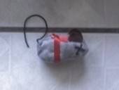 Cat Toy