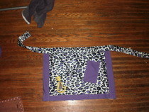 Fancy Apron