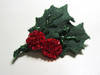 Small_full_holly_1293145285