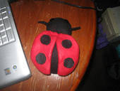 Ladybug