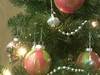 Small_full_imag0223_1293137363