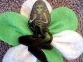 Skeleton Bettie Hair Clip