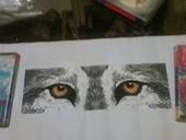 Wolf Eyes Cross Stitch