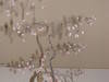 Small_full_dsc03351_1293476647