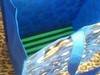 Small_full_wrqw_1293488188