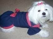 Doggie Scrap Dress