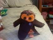 Coat For An Owl