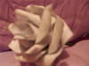 Small_full_pict0012_1293569479