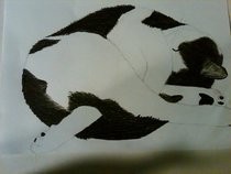 Sketch Of My Kitty