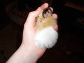 My Little Bunny Tail 
