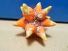 Small_full_dscn0293_1293945602