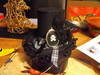 Small_full_dscf2093_1293996256
