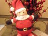 Small_full_dscn1539_1294075227