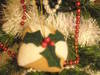 Small_full_dscn1529_1294076691