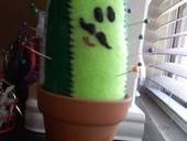Happy Mustashioed Cactus Pincushion