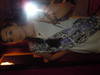 Small_full_dscn0380_1294114793