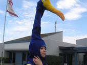 Kevin The Bird Costume