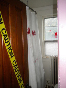 The Bloody Shower Curtain. 