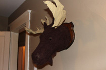 Handmade Mounted Moosehead