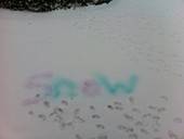Paint Snow